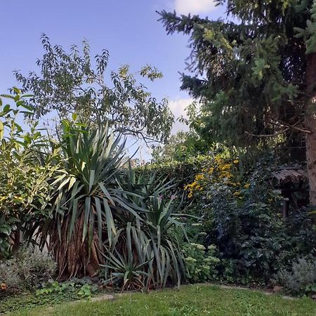 Gemutliche Zentrumsnahe Ferienwohnungen Mit Gemeinschaftsgarten Wittenberg Exterior photo